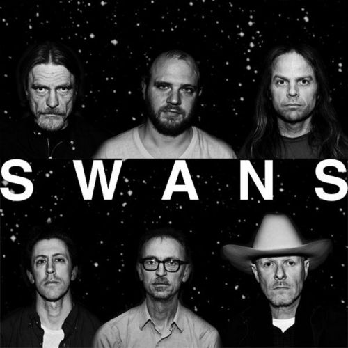 Swansband2