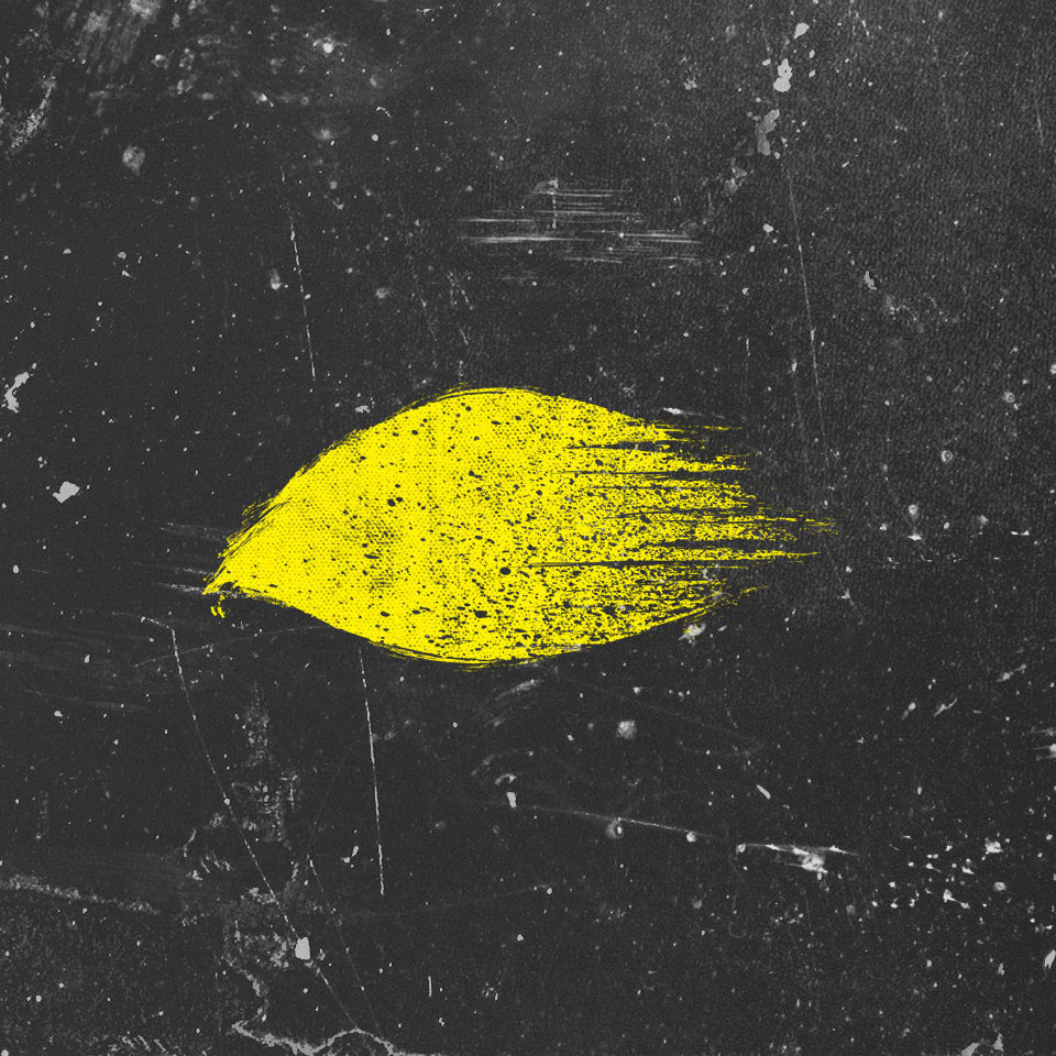 19905005 1471543022907585 8329856730279527338 n