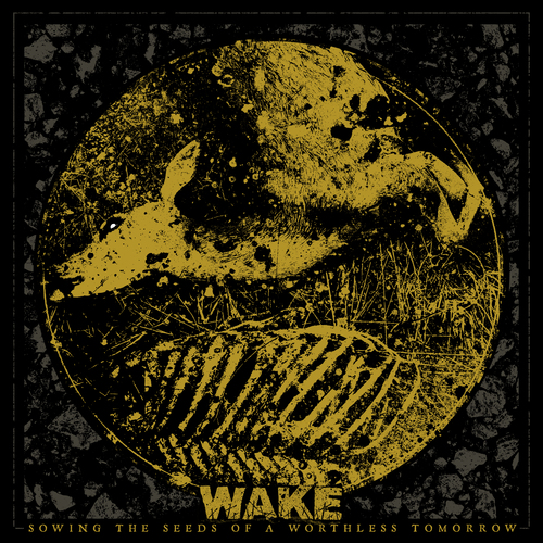 Wake