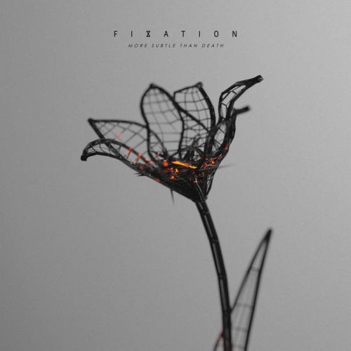 Fixation