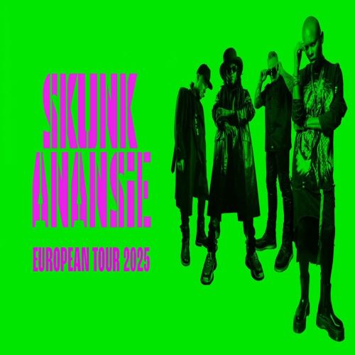 Skunk anansie 2025