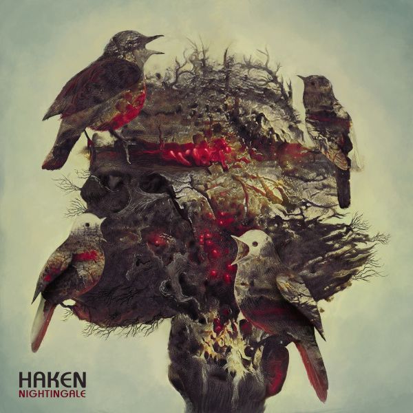 Haken