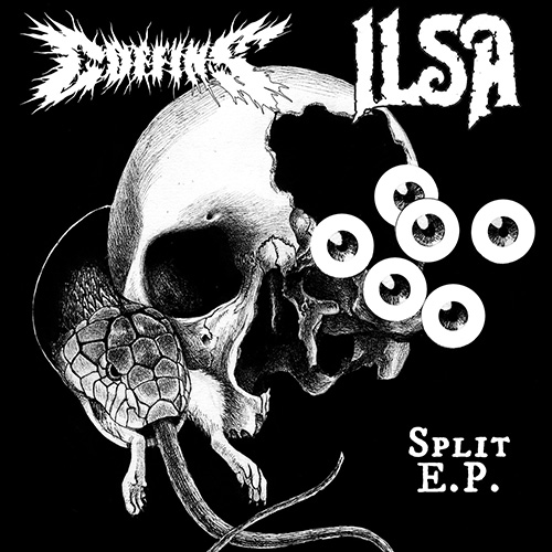 Coffins   ilsa