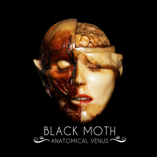 Black moth anatomical venus
