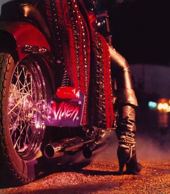 Vixenalbum